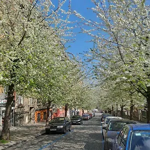 The Garden In The City Apartmán